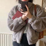 Korean Wind Chic Warm Soft Hairy Short Zipper Coat Women Autumn And Winter Thicken Warm Collar Plush Cotton Suit