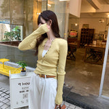 2026 Early Spring Early Winter Temperament Thin Knitted Shirt Women This Year's Popular Korean Design Sense Short Hair